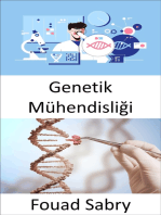 Genetik Mühendisliği: Mühendislik pratiği, işleri daha iyi hale getirmeye odaklanmıştır; canlı organizmalar insan yararına geliştirilebilir mi?