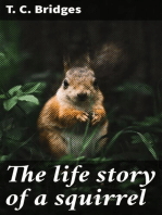 The life story of a squirrel