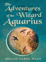 The Adventures of the Wizard Aquarius