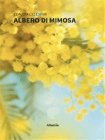 Albero di Mimosa
