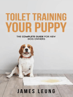 Toilet Training Your Puppy