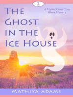 The Ghost in the Ice House