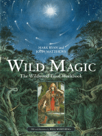 Wild Magic