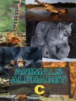 Animals Alphabet C