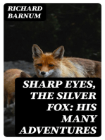 Sharp Eyes, the Silver Fox: His Many Adventures