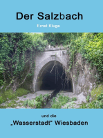 Der Salzbach und die "Wasserstadt" Wiesbaden: Wie der Salzbach in Wiesbaden unter die Erde kam. Und wie man ihn wieder herstellen kann.