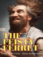 The Feisty Ferret: Dark Night Tales, #5