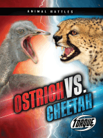 Animal Battles