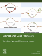 Bidirectional Gene Promoters