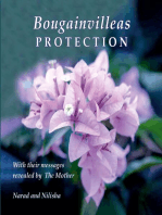 Bougainvilleas PROTECTION: With Their Messages Revealed by The Mother