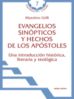 Evangelios sinópticos y Hechos de los Apóstoles: Una introducción histórica, literaria y teológica