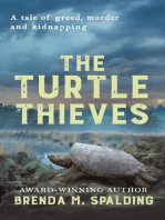 The Turtle Thieves