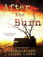 After the Burn