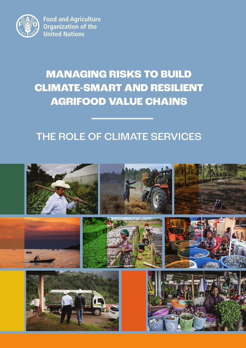 Managing Risks to Build Climate-Smart and Resilient Agrifood Value ...