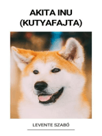 Akita Inu (Kutyafajta)