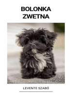 Bolonka Zwetna