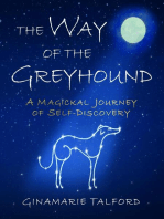 the Way of the Greyhound