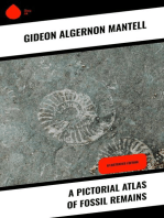 A Pictorial Atlas of Fossil Remains: Illustrated Edition