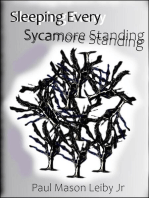 Sleeping Every Sycamore Standing