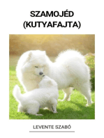 Szamojéd (Kutyafajta)