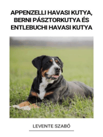 Appenzelli Havasi Kutya, Berni Pásztorkutya és Entlebuchi Havasi Kutya