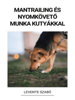 Mantrailing és Nyomkövető Munka Kutyákkal