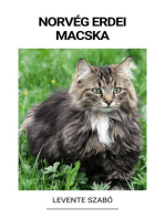 Norvég Erdei Macska