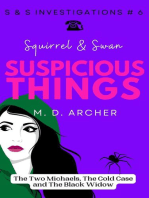Squirrel & Swan Suspicious Things: S &  S Investigations, #6