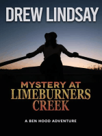 Mystery at Limeburners Creek