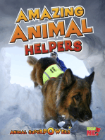 Amazing Animal Helpers