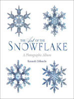 The Art of the Snowflake