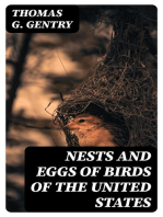 Nests and Eggs of Birds of the United States: Illustrated