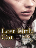 Lost Little Cat