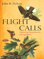 Flight Calls: Exploring Massachusetts through Birds