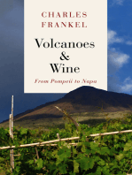 Volcanoes & Wine: From Pompeii to Napa