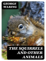 The Squirrels and other animals