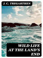 Wild Life at the Land's End: Observations of the Habits and Haunts of the Fox, Badger, Otter, Seal, Hare and of Their Pursuers in Cornwall