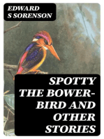 Spotty the Bower-Bird and Other Stories