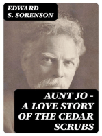 Aunt Jo - A Love Story of the Cedar Scrubs