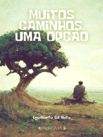 Muitos caminhos, uma opção