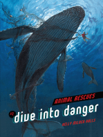 Dive into Danger