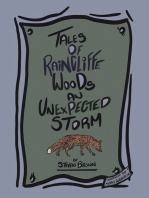 Tales of Raincliffe Woods: An Unexpected Storm