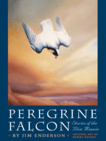 Peregrine Falcon: Stories of the Blue Meanie