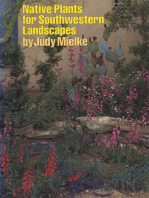 Native Plants for Southwestern Landscapes