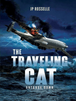 The Traveling Cat
