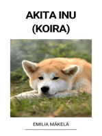 Akita Inu (Koira)
