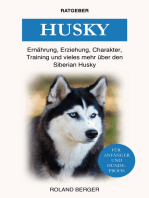 Husky: Ernährung, Erziehung, Charakter, Training &amp; vieles mehr über den Siberian Hu