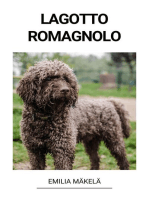 Lagotto Romagnolo