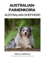 Australianpaimenkoira (Australian Shepherd)