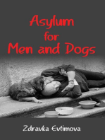 Asylum for Men and Dogs